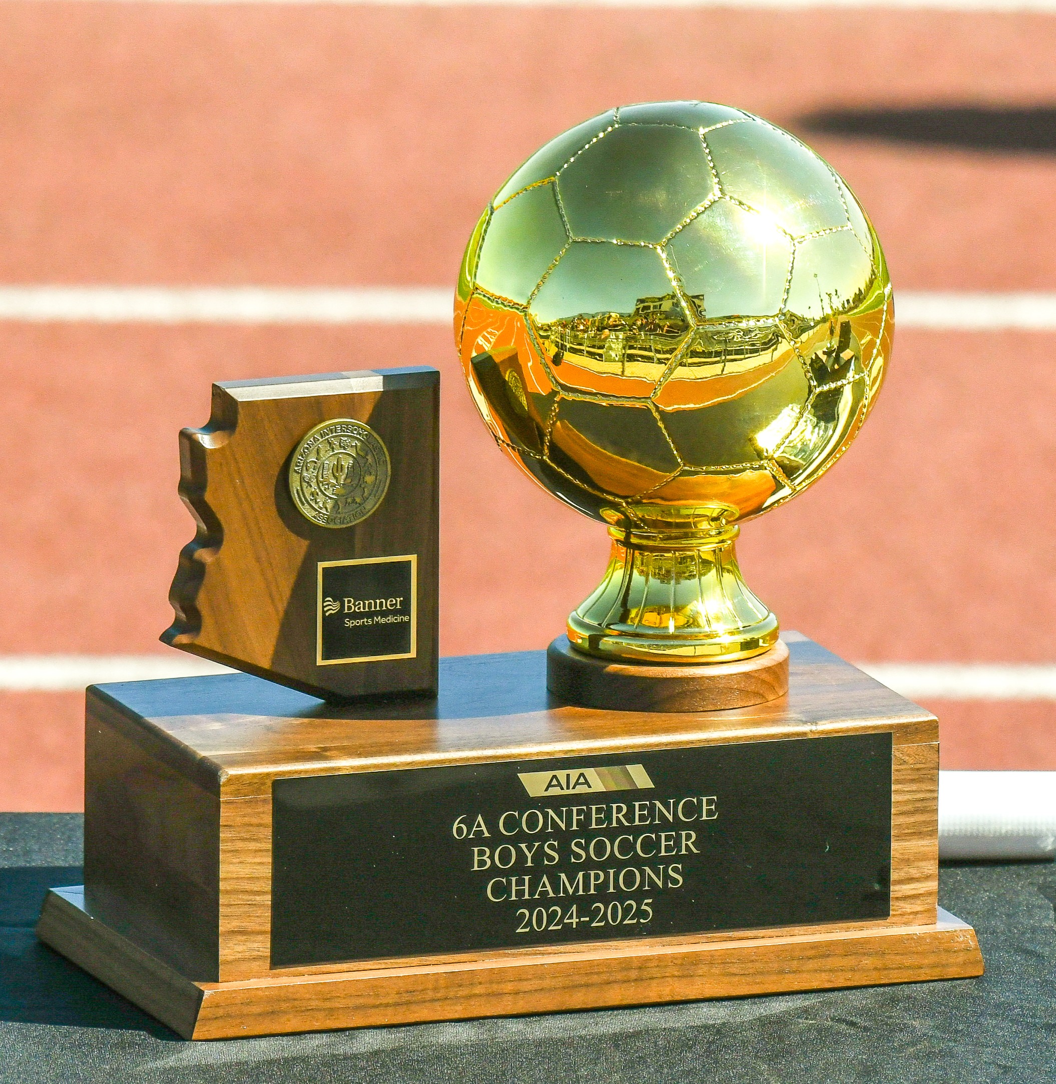 Soccer Medal